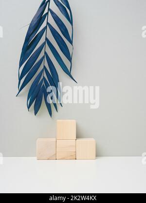 Cubo di legno su sfondo grigio con una foglia di palma blu. Fase per la dimostrazione del prodotto, cosmetica Foto Stock