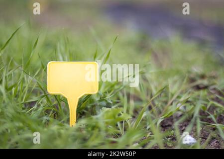 Un pennarello giallo in plastica per giardino che indica una pianta nel giardino. Etichetta giardino per marcatura. Una piastra riutilizzabile è progettata per visualizzare le informazioni sui raccolti piantati. Foto Stock