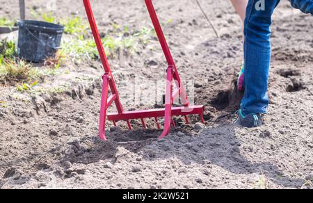 Un contadino in jeans scava il terreno con una pala a forcella rossa. Una pala miracolosa, uno strumento pratico. Coltivatore manuale. Il coltivatore è un efficiente strumento manuale per il dissodamento. Allentamento del letto. Foto Stock