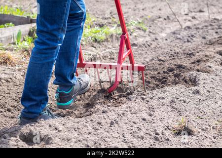 Un contadino in jeans scava il terreno con una pala a forcella rossa. Una pala miracolosa, uno strumento pratico. Coltivatore manuale. Il coltivatore è un efficiente strumento manuale per il dissodamento. Allentamento del letto. Foto Stock