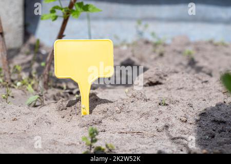 Un pennarello giallo in plastica per giardino che indica una pianta nel giardino. Etichetta giardino per marcatura. Una piastra riutilizzabile è progettata per visualizzare le informazioni sui raccolti piantati. Foto Stock