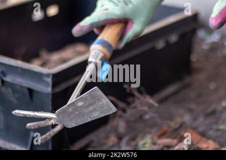 Il giardiniere rastrema il suolo per piantare. Per lavorare in giardino. Le mani delle donne nei guanti tengono uno strumento da giardino e allentano il terreno, curandosi e coltivando piante da giardino. Pianta una pianta nel giardino. Foto Stock