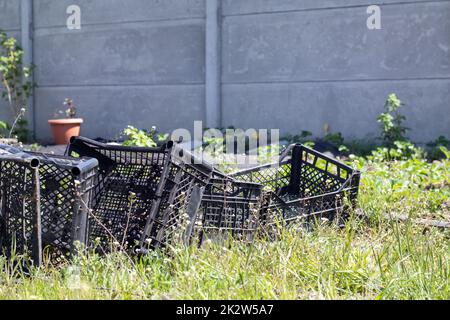 Scatole nere vuote di plastica impilate insieme per piante o raccolto. In una giornata di sole all'inizio della primavera. Concetto di giardinaggio. Raccolta di raccolto di famiglia e scatole di deposito in piedi nel cortile posteriore. Foto Stock