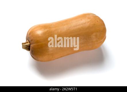 La zucca isolati su sfondo bianco Foto Stock