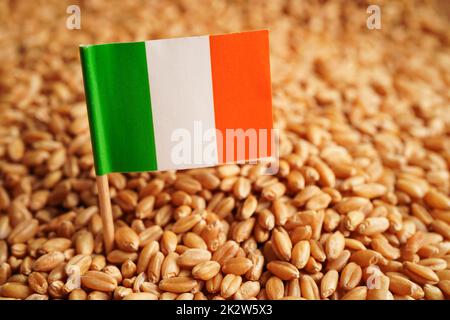 Grano con bandiera irlandese, esportazione commerciale e concetto di economia. Foto Stock