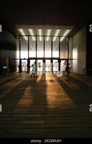 M+ M Plus il museo globale della cultura visiva di Hong Kong i più grandi musei della cultura visiva moderna e contemporanea del quartiere culturale di West Kowloon Foto Stock