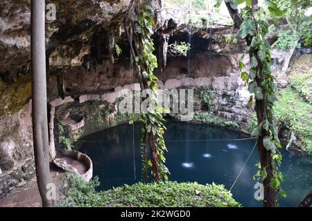 Cenote Zaci nel centro di Valladolid, Yucatan, Messico Foto Stock