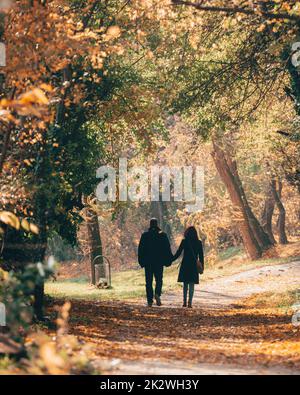 Uno scatto verticale di una coppia romantica che cammina su un sentiero attraverso una foresta autunnale Foto Stock
