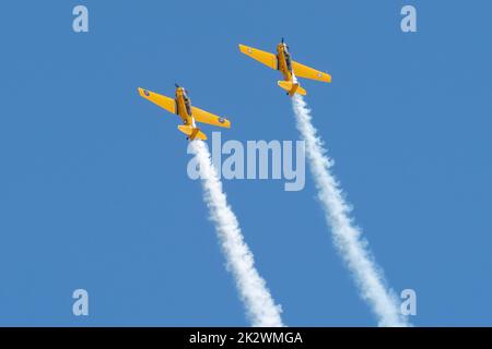 Il T-6 Texan Demonstration Team che si occupa di aerobica alla Hill AFB in cielo blu Foto Stock