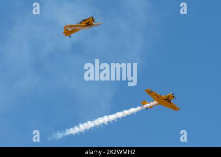 Il T-6 Texan Demonstration Team che si occupa di aerobica alla Hill AFB in cielo blu Foto Stock