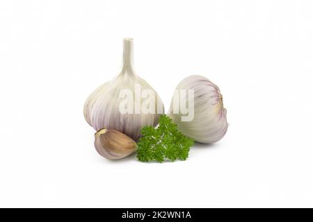 Bulbi e spicchi d'aglio e prezzemolo si ramoscono di bianco Foto Stock