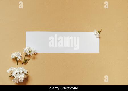 fiori lilla con cartellino bianco. Creative congratulazioni layout da lilla su carta bianca. Fiore di primavera concetto. Disposizione piatta, vista dall'alto, spazio di copia Foto Stock