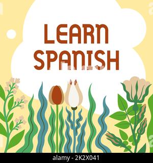 Testo che mostra ispirazione Impara lo spagnolo. Word for Translation Language in Spain Vocabulary dialect Speech blank frame decorato con Abstract Modernized Forms Fiori e Fogliame. Foto Stock