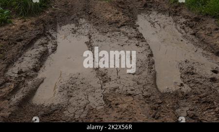 Campo fangoso con ruote e pozzanghere. Strada sporca con cingoli delle ruote del dumper per fango dopo la pioggia. Fuoristrada. Foto Stock