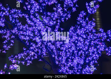 Le luci sono usate per decorare gli alberi per generare la luce bella. Foto Stock