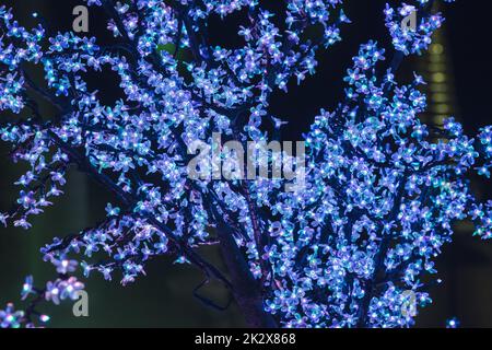 Le luci sono usate per decorare gli alberi per generare la luce bella. Foto Stock