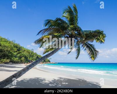 Seychelles , Praslin - Spiaggia dell'Anse Goeorgette Foto Stock