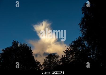 Bella nuvola nel cielo. Paesaggio celeste sopra la foresta. Foto Stock