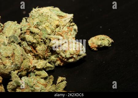 Germogli Marihuana primo piano in fondo nero puro medico cbd super limone haze cannabis sativa famiglia cannabaceae grandi dimensioni stampe di alta qualità Foto Stock