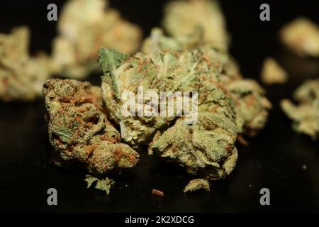 Germogli Marihuana primo piano in fondo nero puro medico cbd super limone haze cannabis sativa famiglia cannabaceae grandi dimensioni stampe di alta qualità Foto Stock