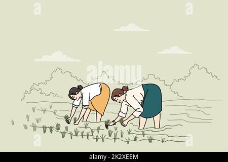 Donne che lavorano su campi di riso Foto Stock