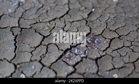Le gocce d'acqua cadono su suolo secco fratturato di siccità Foto Stock