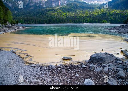 Il polline sull'acqua a riva. Foto Stock