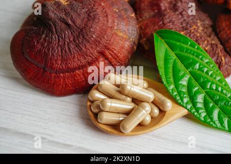 Lingzhi o Reishi funghi con capsule, alimenti biologici naturali sani. Foto Stock