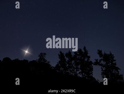 Stella di Natale in una notte limpida che si innalza sugli alberi contornati dalle stelle Foto Stock