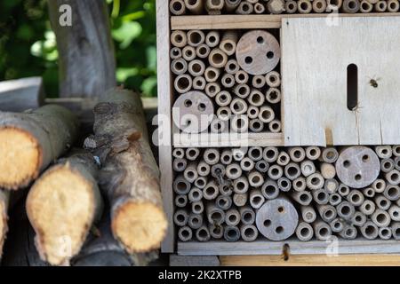 Un albergo per insetti per api, vespe e altri insetti in legno. Foto Stock