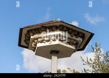 Una torre di nidificazione per rondini ed edifici per proteggere... Foto Stock