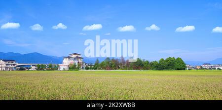 La vista panoramica del bellissimo Paddy Field con Alba a Brown Avenue, Chishang, Taitung, Taiwan Foto Stock