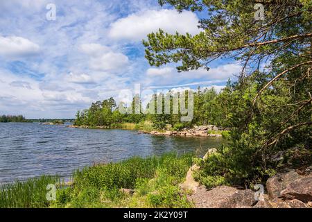 Paesaggio con rocce e alberi vicino a Figeholm in Svezia Foto Stock