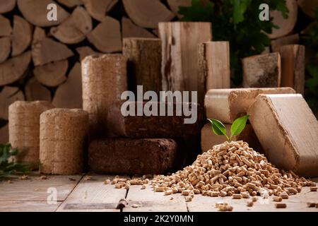 Set di bricchetti e mazzette da biomassa vicino al pacco di pellets sulla superficie del legno Foto Stock