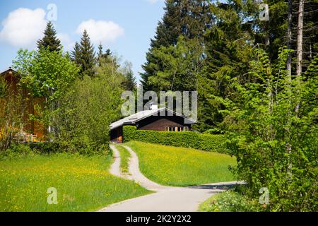 Piccolo cottage in legno nella foresta Foto Stock