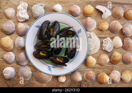 cozze ubriachi vicino ad una serie di conchiglie Foto Stock