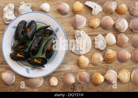 cozze ubriachi vicino ad una serie di conchiglie Foto Stock