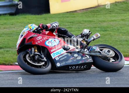 Chester, Regno Unito. 23 set 2022 Josh Brookes (MCE Ducati) visto in azione durante il Bennets British Superbike Round 9 (pratica) a Oulton Park Chester Inghilterra il 23 2022 settembre GS.Media / Alamy Live News Foto Stock