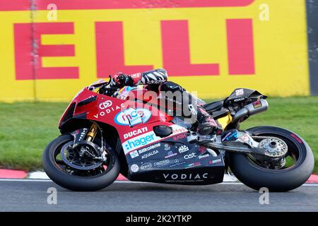 Chester, Regno Unito. 23 set 2022 Josh Brookes (MCE Ducati) visto in azione durante il Bennets British Superbike Round 9 (pratica) a Oulton Park Chester Inghilterra il 23 2022 settembre GS.Media / Alamy Live News Foto Stock