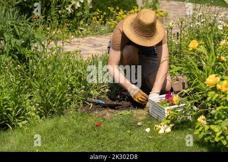 L'uomo sta coltivando, piantando nel suo bel giardino. Foto Stock