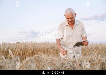 Contadino sorridente con un tablet PC che esamina i raccolti sul campo Foto Stock