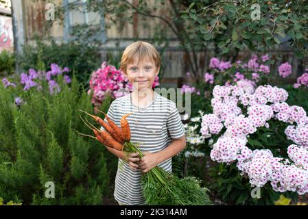 Ragazzo sorridente con mazzo di carote in piedi davanti alle piante fiorite Foto Stock