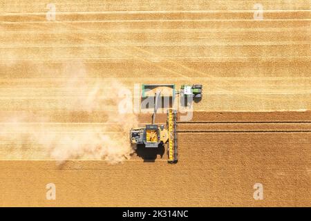 Vista aerea della mietitrebbia in un vasto campo di grano Foto Stock