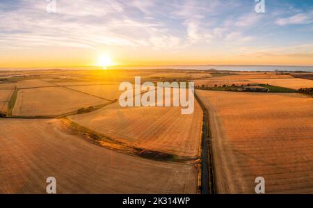 Regno Unito, Scozia, veduta aerea dei campi di orzo raccolti al tramonto estivo Foto Stock