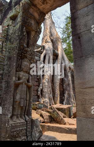 Il complesso del tempio di Preah Khan, situato all'estremità settentrionale del Parco Archeologico di Angkor, è uno degli edifici più significativi eretti durante il periodo Foto Stock