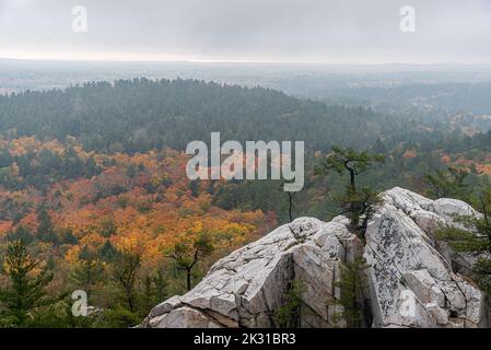 Rocce e alberi colorati nel Killarney Park in autunno, Canada Foto Stock