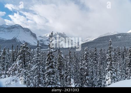 Vista di Banff e Jasper Park lungo la Icefields Pkwy in inverno Foto Stock