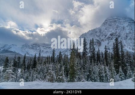 Vista di Banff e Jasper Park lungo la Icefields Pkwy in inverno Foto Stock