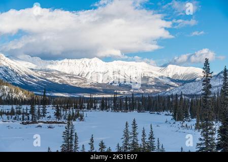 Vista di Banff e Jasper Park lungo la Icefields Pkwy in inverno Foto Stock