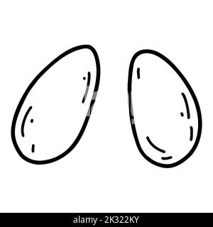 Doodle uova intere di pollo. Disegno vettoriale di contorno Illustrazione di prodotti di coltivatore freschi. Illustrazione Vettoriale